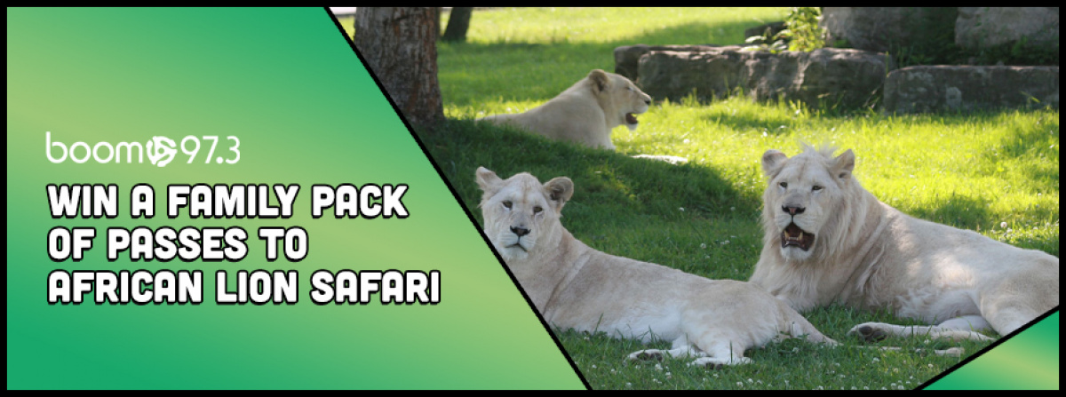 Win a Family Pack  of Passes to African Lion Safari